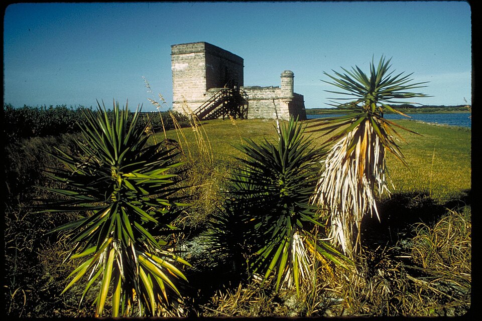 Stone fort with a tower stands by the water, surrounded by grassy fields and several large, spiky yucca plants in the foreground under a clear blue sky—like a peaceful spot for retractable awnings Marco Island FL residents enjoy.
